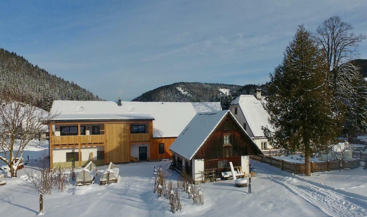 Ferienwohnungen Orth Lassing  Exteriör bild